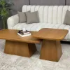 طاولات وسط ومزنونات 